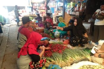 Harga cabai di Kendari turun