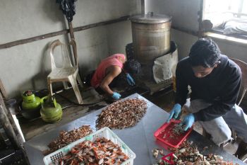 Elpiji 3 Kilo di Tanjungpinang naik jadi Rp18 ribu