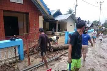 Palolo dilanda banjir bandang dan longsor