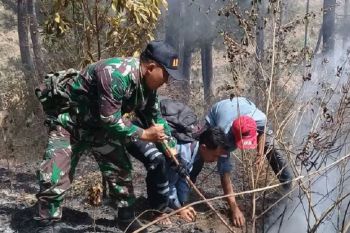 Kebakaran hutan di lereng Sumbing berhasil dijinakkan