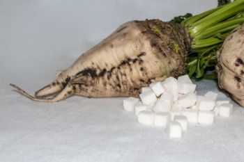 Gula bit tekan laju obesitas dan diabetes
