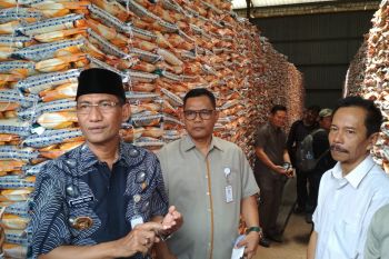 Pemkab Kudus siap bantu pasarkan beras Bulog (VIDEO)