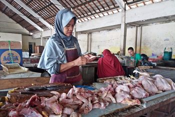 Harga telur dan ayam di Solo naik