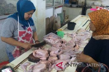 Jelang akhir tahun, harga daging ayam beranjak naik