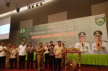 Gubernur Sumsel inisiasi perda pemanfaatan lahan gambut