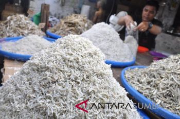 IKAN TERI MEDAN
