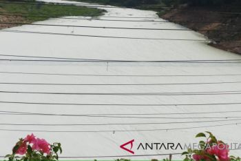 Kali Bekasi belum terbebas dari limbah busa