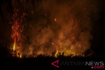 Hutan Gunung Bancak di Magetan terbakar