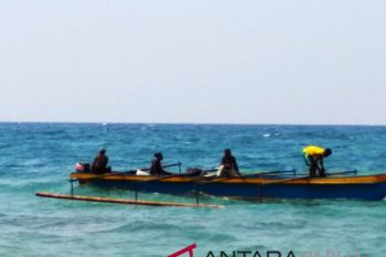 BMKG: tinggi gelombang laut Papua capai empat meter