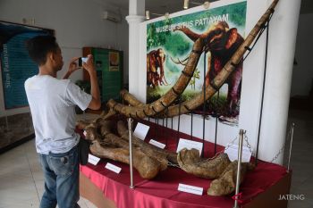 Pemkab Kudus diminta serius kembangkan Situs Patiayam
