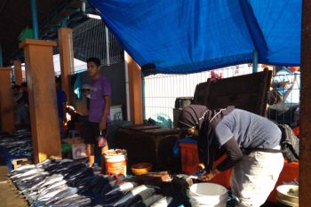 Cuaca buruk, harga ikan di Kendari naik