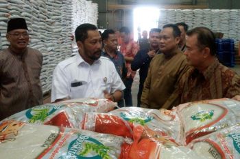 Buwas: tidak perlu impor beras hingga Juni 2019
