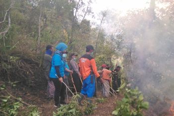 Kebakaran hutan di lereng Merbabu padam