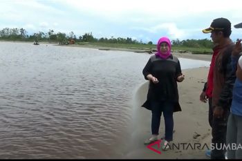 Petani sawit Maligi Pasaman Barat merugi akibat terputusnya akses jalan