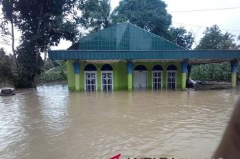 Banjir terjadi di Pasaman, sejumlah infrastruktur rusak