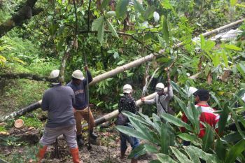PLN turunkan tim perbaiki jaringan listrik di daerah terdampak bencana