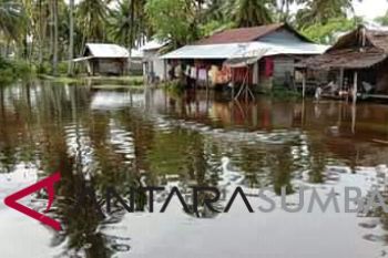 Empat lokasi banjir di Pasaman Barat masih terisolasi