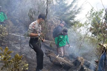 Hutan lereng Gunung Sumbing kembali terbakar
