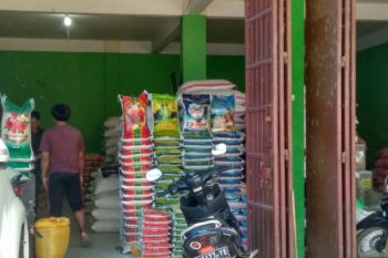 Harga beras di Kendari stabil