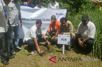 PLN WP2B tanam 1.000 pohon produktif