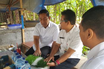 Semarang bangun 5 lapangan futsal kelurahan