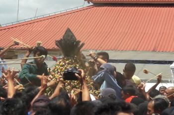 Ribuan warga berebut Gunungan Grebeg Maulid Yogyakarta