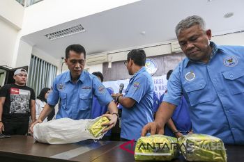 Puluhan ribu pemuda Sumsel konsumsi narkoba