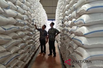 Mabes TNI-AD pantau Bulog Muara Teweh