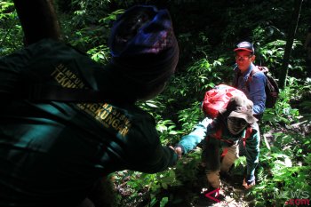 Protection of Leuser ecosystem crucial: NGO