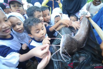 Pendidikan Manfaat Ikan