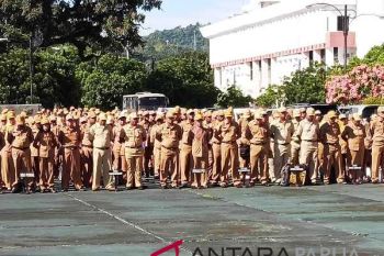 Pemprov Papua tunggu arahan Kemenpan-RB terkait perekrutan CASN