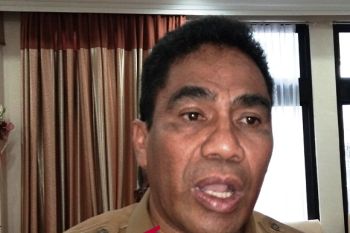 Pemprov Papua akan kurangi jumlah organisasi perangkat daerah