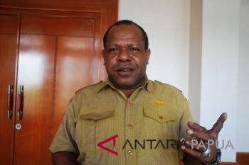 Pemprov Papua akui kontribusi industri pengolahan masih minim
