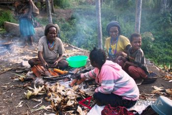 Pemprov Papua minta petani siapkan pangan lokal untuk mendukung PON XX