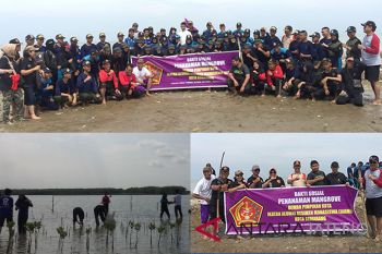 IARMI Semarang tanam mangrove cegah abrasi pantura