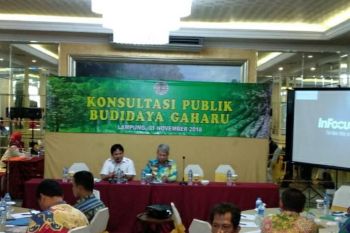 Pemprov Lampung dorong budi daya gaharu