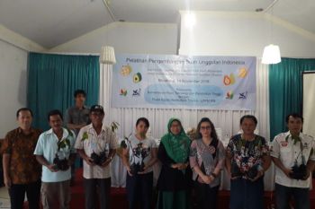 Tebing beberapa kecamatan di Bantul rawan longsor