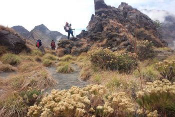 Jalur pendakian Rinjani Lombok Tengah resmi dibuka