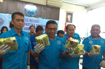 BNNP Sumsel gagalkan peredaran tujuh kilogram sabu