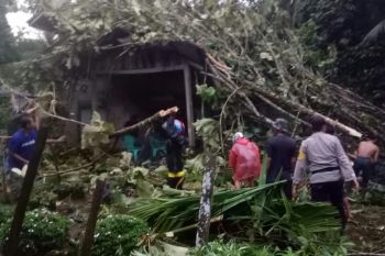 10 rumah dan sejumlah fasum di Solok Selatan rusak dihantam angin puting beliung