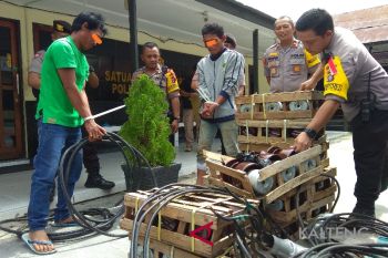 Polisi tembak komplotan instalatir pencuri kabel listrik