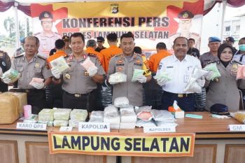 Pengiriman 43 kg narkotika digagalkan Polda Lampung