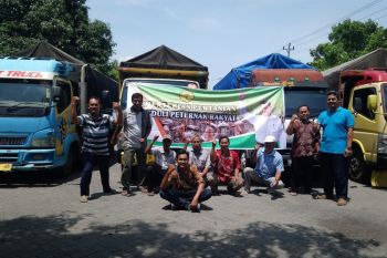 Pinsar dukung penyaluran jagung oleh Kementan