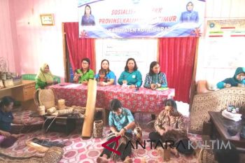 TP-PKK Kaltim promosikan produk kerajinan warga Bentian Besar