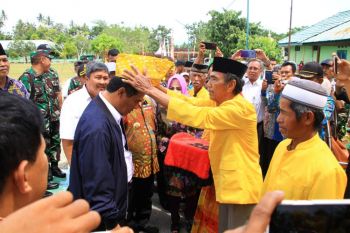 Mentan janji cetak 100 hektare sawah baru di Parimo