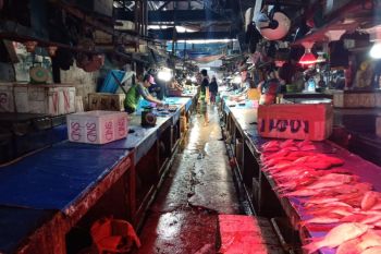 Ikan laut di Palu masih sepi pembeli
