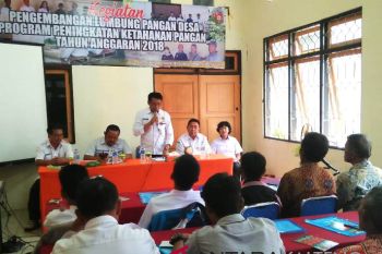 Pemkab Barito Utara kembangkan lumbung pangan desa