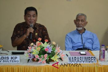 Produksi ikan PPI Donggala pascabencana masih minim