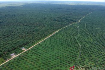 Asian Agri to have 10 units of biogas power plants