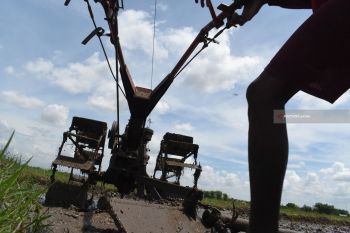Bajak Sawah